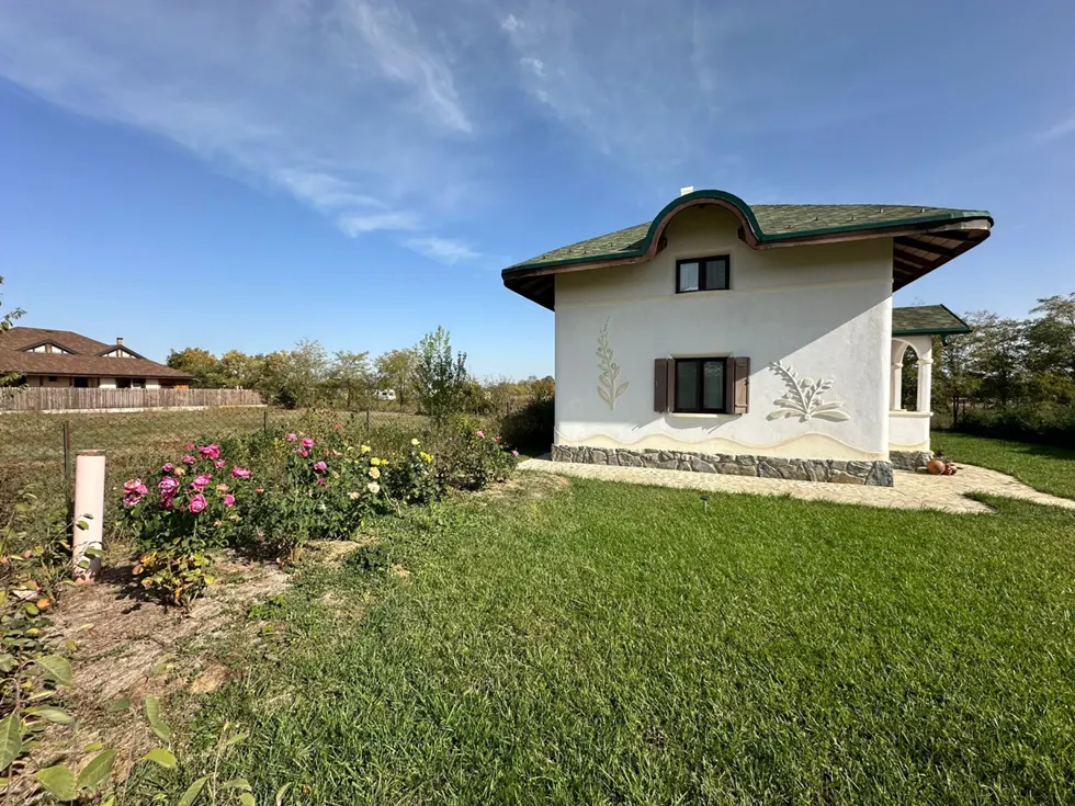 Zonă umedă construită — integrare în grădină