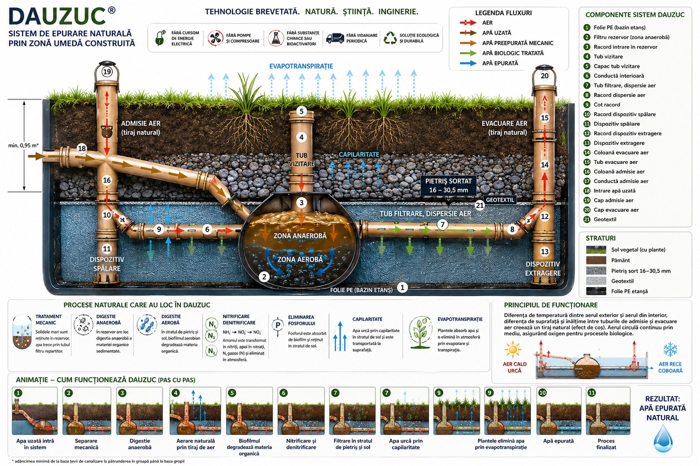 Schema tehnică a sistemului natural de epurare DAUZUC 4 cu zona aerobă și anaerobă, filtrare, aerare naturală, capilaritate și evapotranspirație